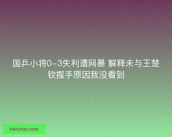 国乒小将0-3失利遭网暴 解释未与王楚钦握手原因我没看到 国乒小将0-3失利遭网暴 解释未与王楚钦握手原因我没看到