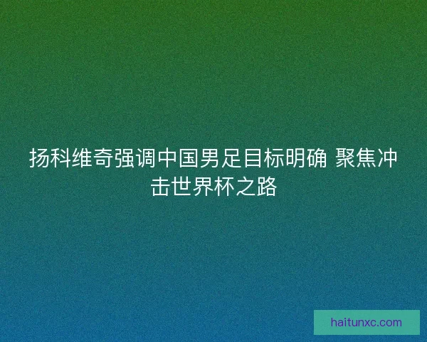 扬科维奇强调中国男足目标明确 聚焦冲击世界杯之路